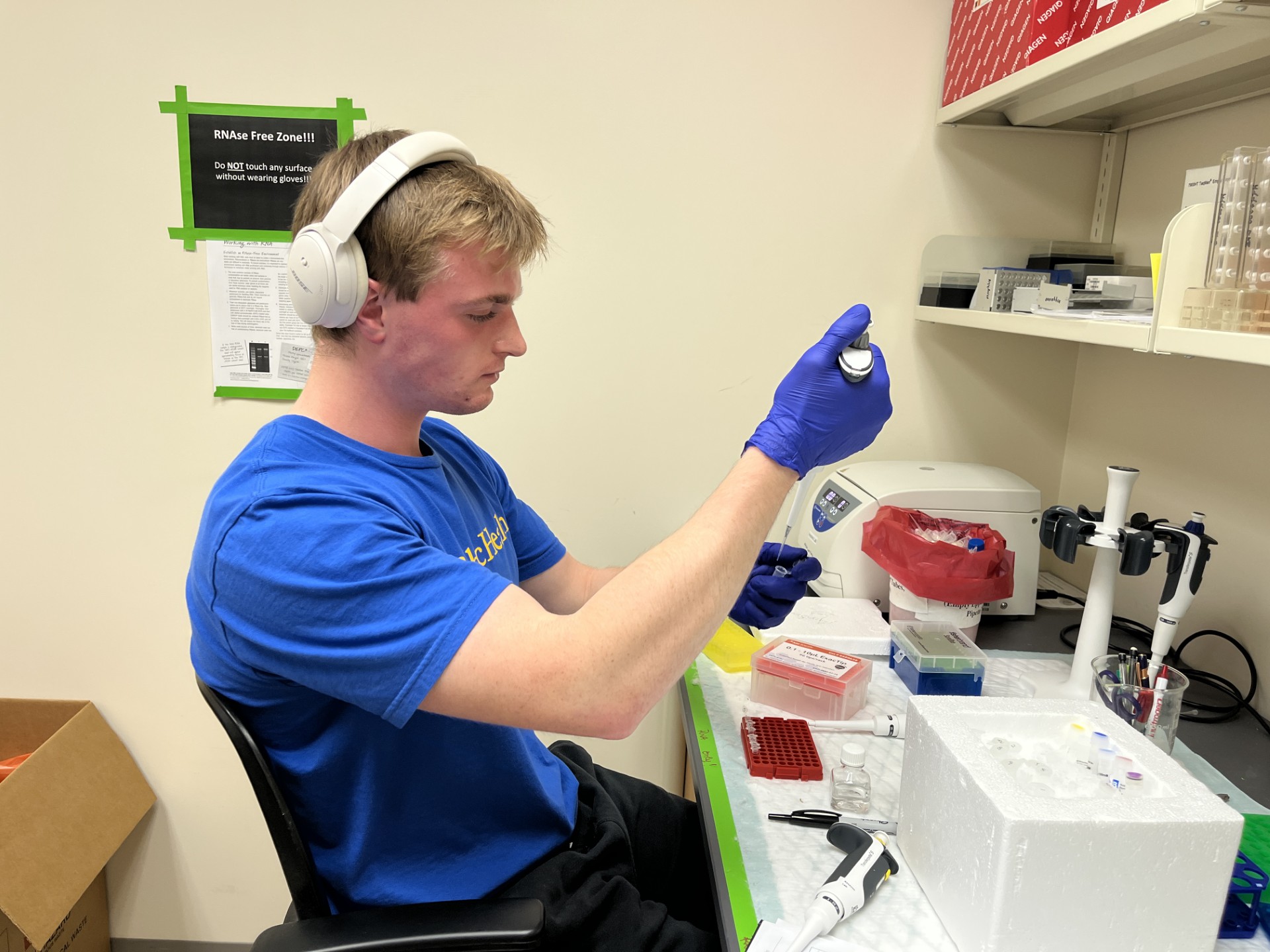 Photo of Sarah Green